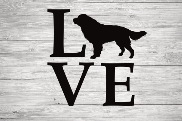 Love Bernese Mountain Dog
